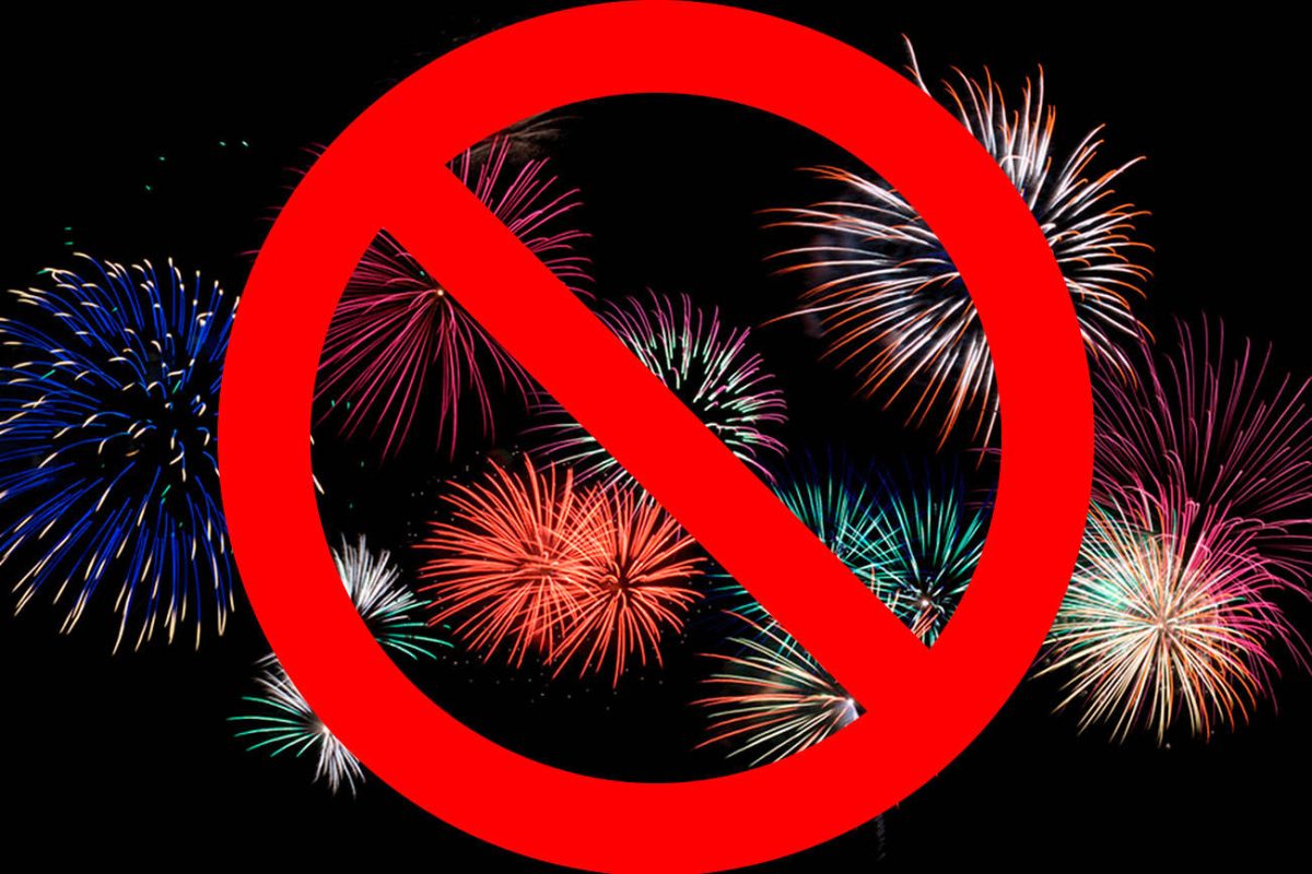 Fireworks have become a nuisance because they startle animals and cause wildfires.