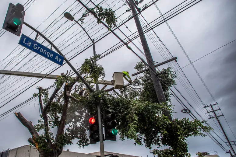 A city worker cuts a tree that fell during the rain in the West LA neighborhood of Los Angeles on November 15, 2025. cA multiple-day powerful atmospheric river storm is triggering evacuation due to possible mudslides to areas burned by wildfires and flash flood warnings in Southern California.