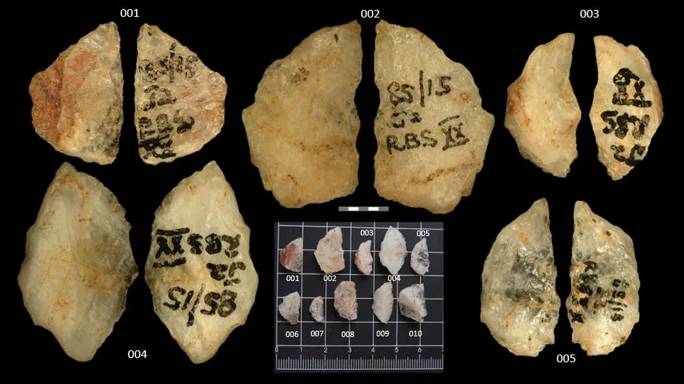A closeup of the five arrowheads from Umhlatuzana rock shelter with two plant toxins. (Scale = 5 mm). The inset shows all 10 archaeological artifacts analyzed.