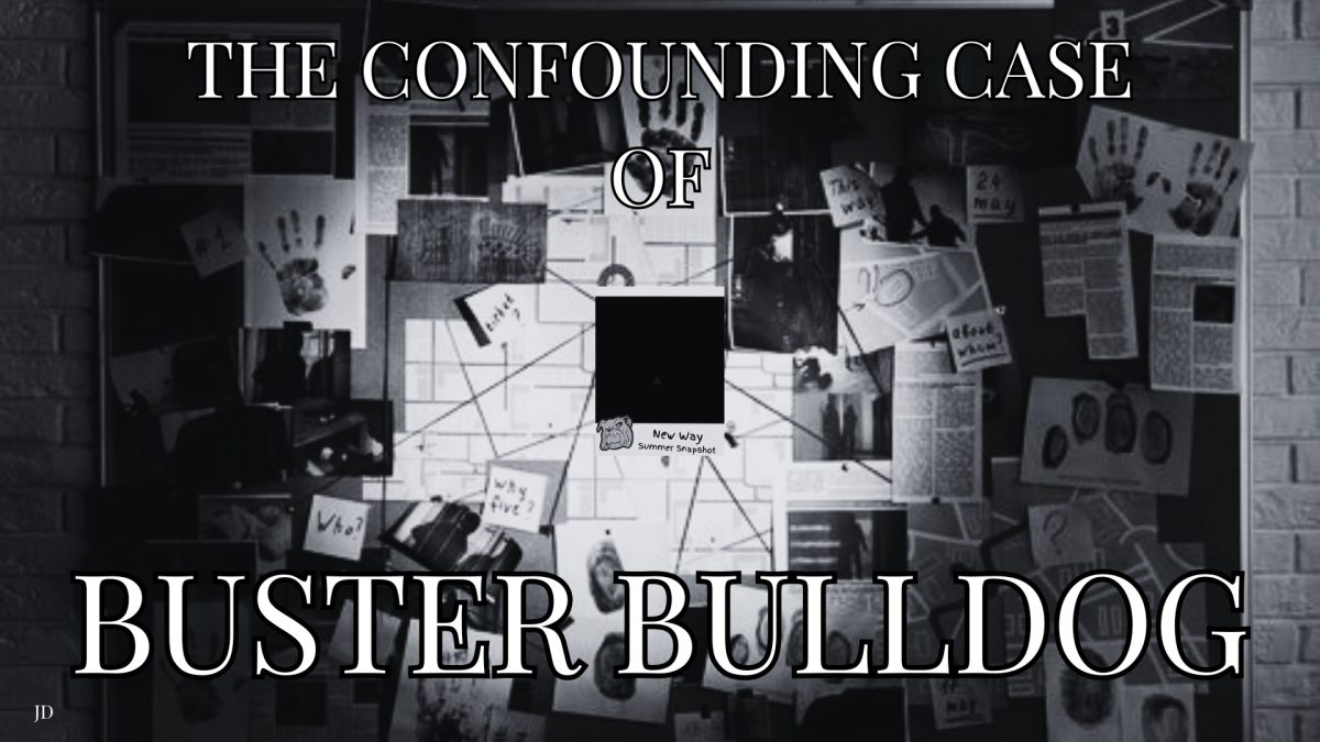 The Confounding Case of Buster Bulldog