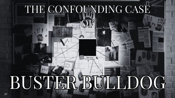 Navigation to Story: The Confounding Case of Buster Bulldog